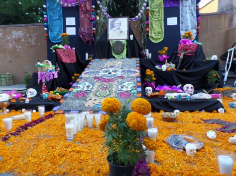 SAMSUNG CAMERA PICTURES